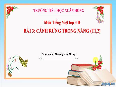 Bài giảng Tiếng Việt 3 (Kết nối tri thức) - Bài 3 (Nghe viết): Cánh rừng trong nắng (Tiết 1+2) - Năm học 2023-2024 - Hoàng Thị Dung
