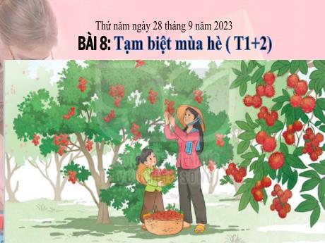 Bài giảng Tiếng Việt 3 (Kết nối tri thức) - Bài 8 (Đọc mở rộng): Tạm biệt mùa hè (Tiết 1+2) - Năm học 2023-2024 - Bạch Thị Hải Yến