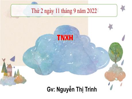 Bài giảng Tự nhiên xã hội 3 (Kết nối tri thức) - Bài 1: Họ hàng và những ngày kỉ niệm của gia đình (Tiết 2) - Năm học 2022-2023 - Nguyễn Thị Trinh